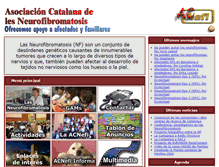 Tablet Screenshot of acnefi.org